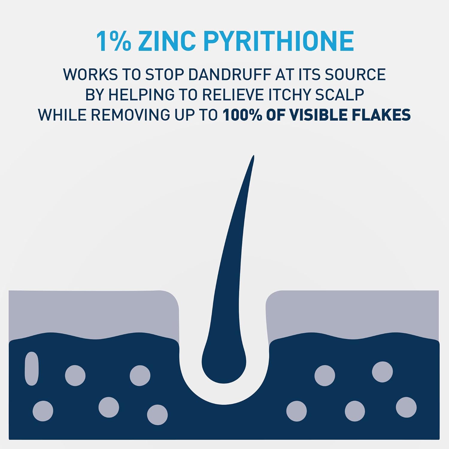 Anti-Dandruff Hydrating Shampoo